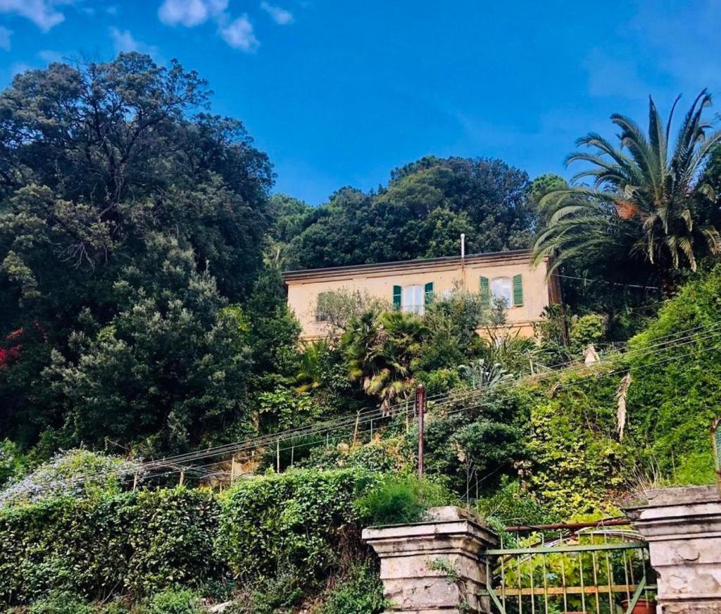 Caligo Bed & Breakfast La Spezia Bagian luar foto