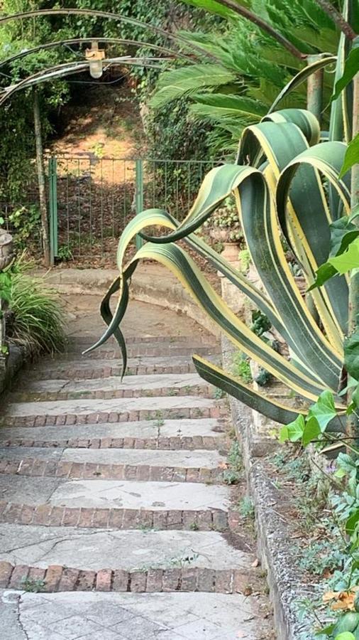 Caligo Bed & Breakfast La Spezia Bagian luar foto