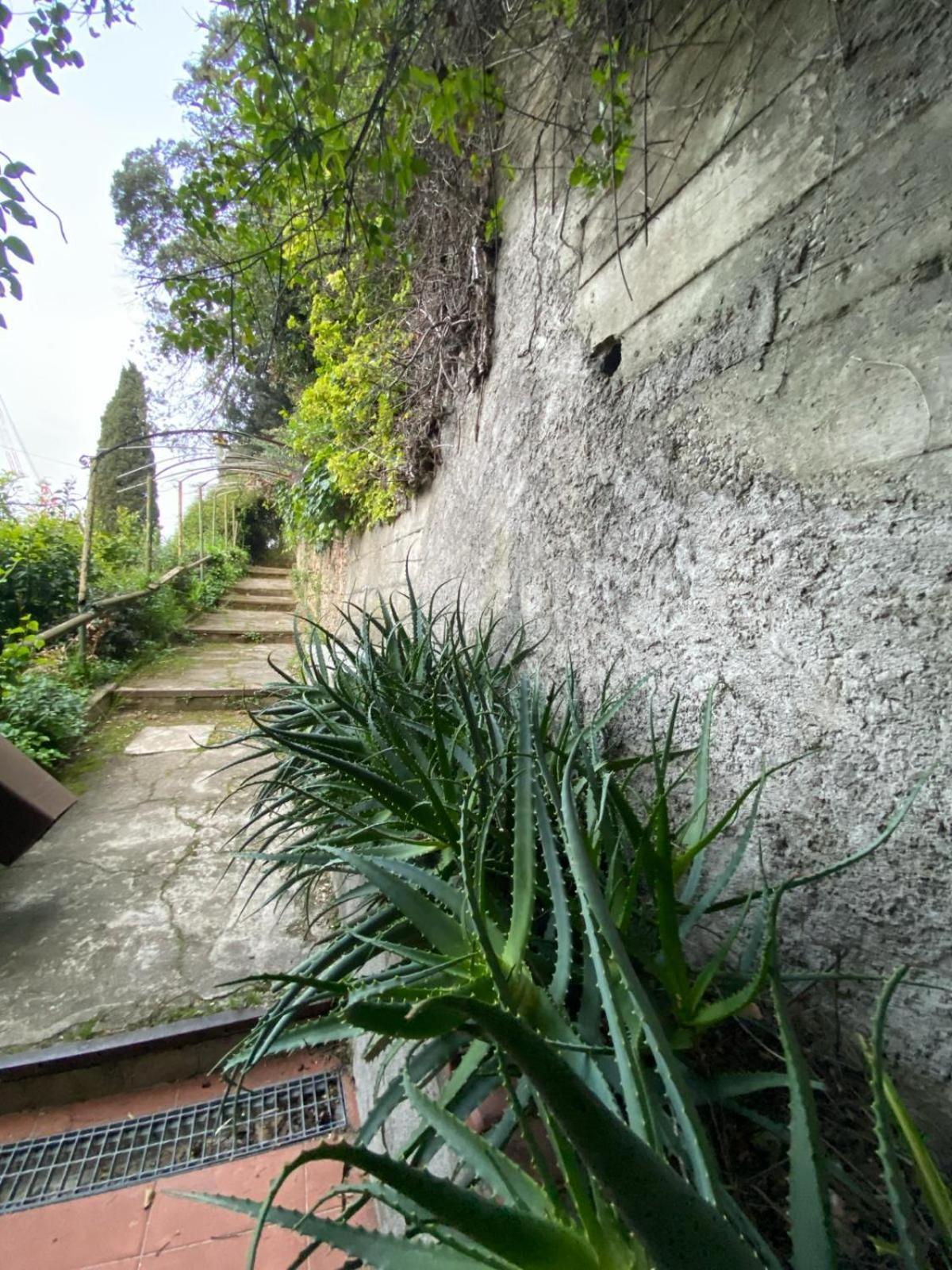 Caligo Bed & Breakfast La Spezia Bagian luar foto